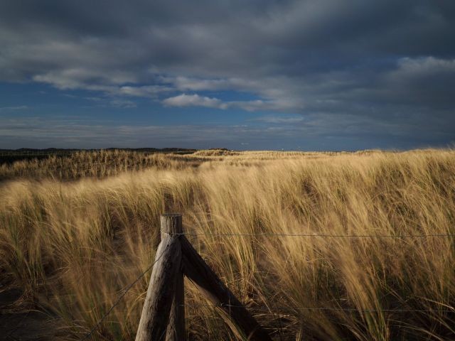Dünenlandschaft