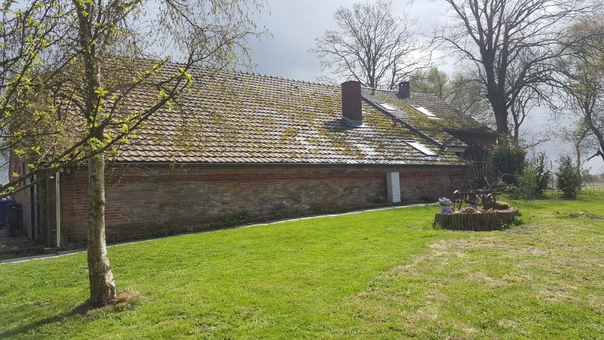 Vorgarten