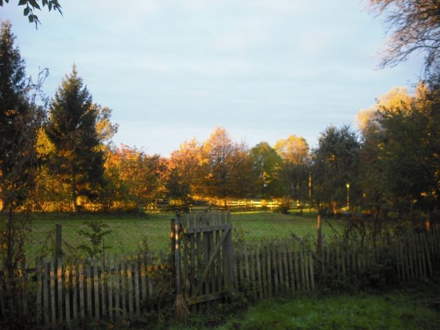 Ferienwohnung in idyllischem Reetdachhaus am Teich