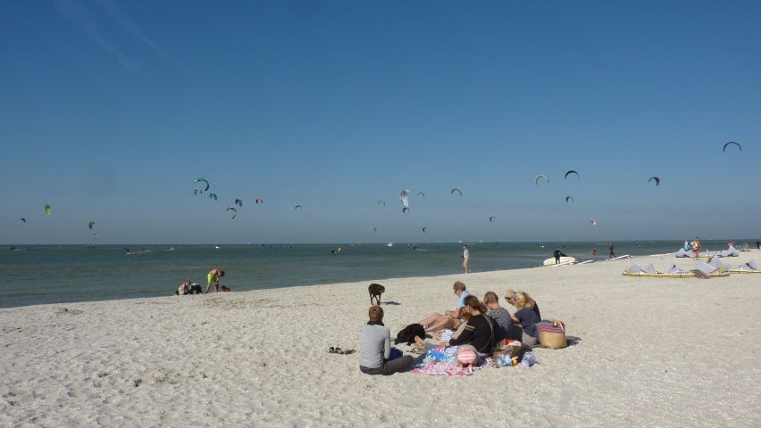 Viel Kite-Surfer