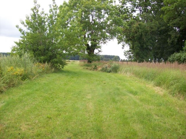 Garten in Klotzow