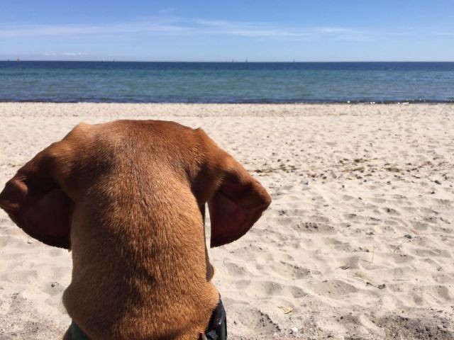 Meerblick