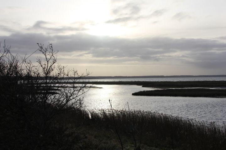 Das Naturschutzgebiet Geltinger Birk im Winter