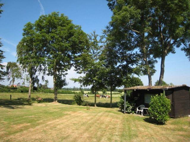 Blick in den Garten