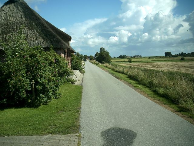 Blick über den Moordeich