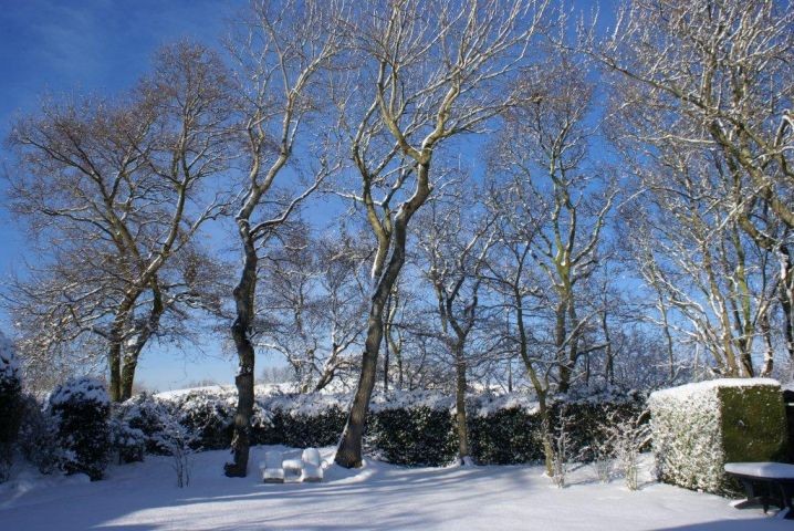 Garten Winter Garten Winter