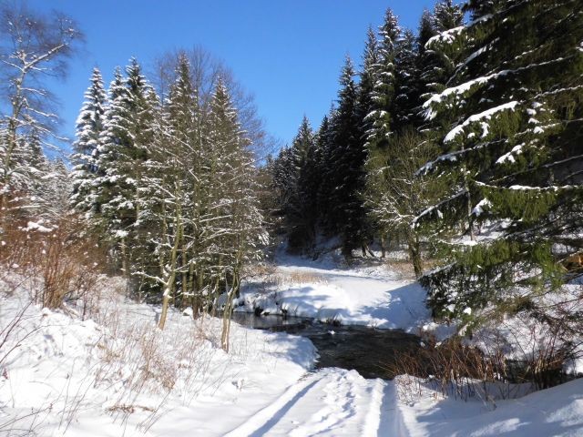 Winter in Wildemann