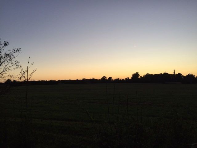 Herbstblick aus dem Garten