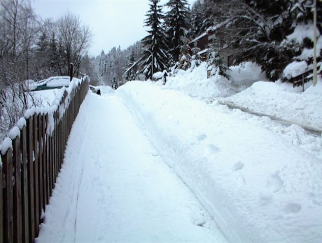 Winteransicht