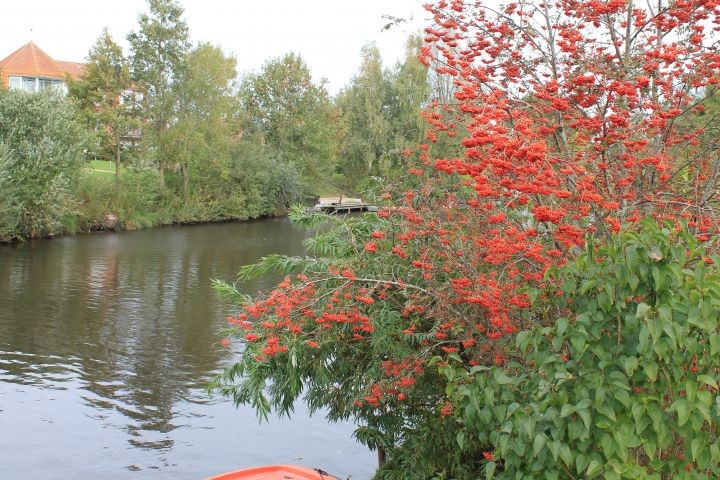 Natur im Spätherbst