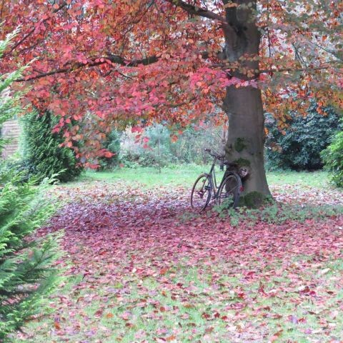 Garten