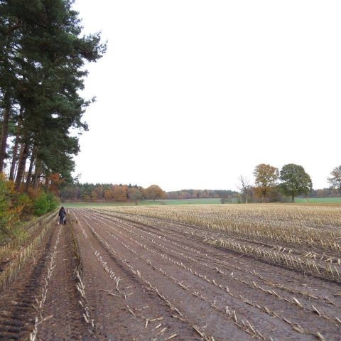 Umgebung