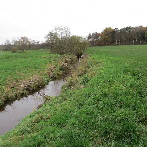 Umgebung