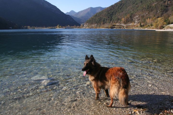 der Ledrosee 