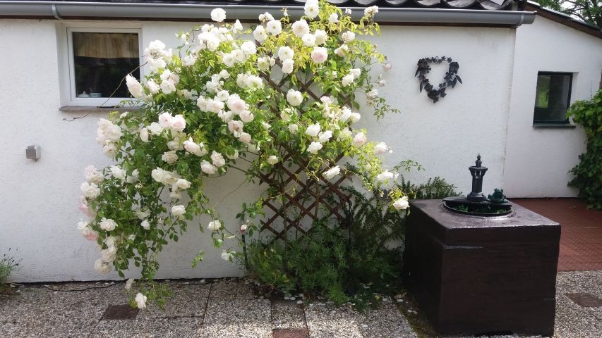 Haus Nr. 4