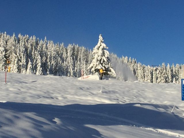 Winter November 2017