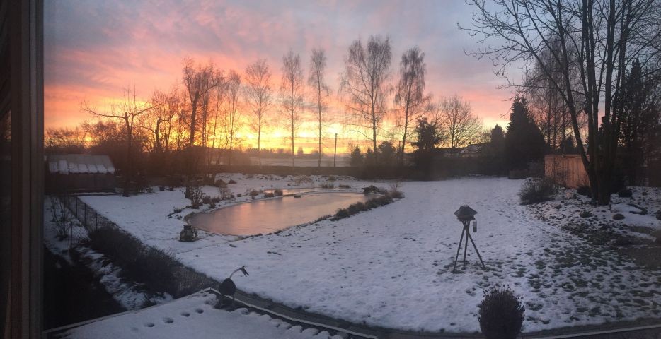 Sonnenaufgang im Winter