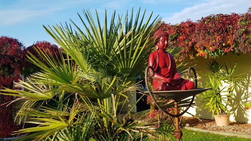 Impressionen im Garten