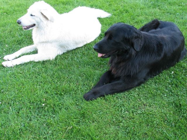 Gina und Gracy