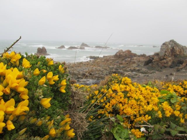 Sentier du douanier im November