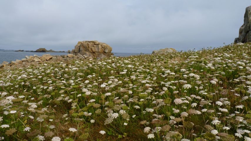Frühsommer beim "Gouffre"