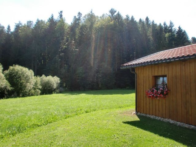 Seitenansicht