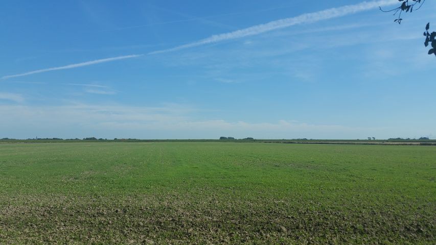 Blick über Wiesen und Felder