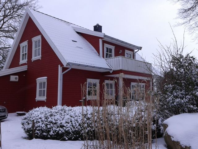 im Winter