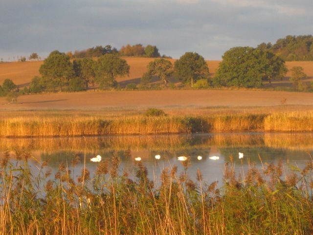 Impressionen am Selliner See