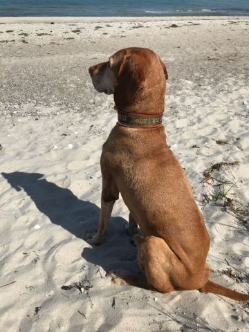 Strandblick