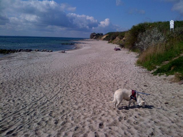 Hier sehen Sie unseren Hundestrand, welchen Sie in 2 Gehminuten erreichen.
