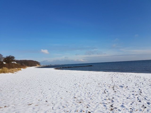 Zu Jeder Jahreszeit ist es schön hier. Frühling, Sommer, Herbst und Winter. Gerade in den Zeiten außerhalb der Sommersaison können Sie die Umgebung als Hundebesitzer besonders genießen, da hier nur sehr wenige Menschen sind und der Strand komplett für Hun