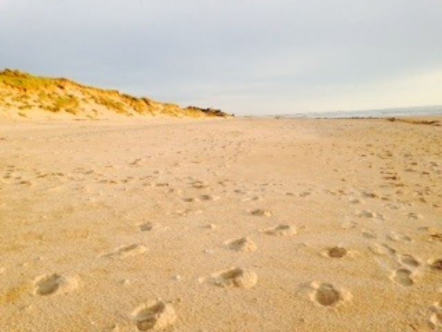 Januar am Strand
