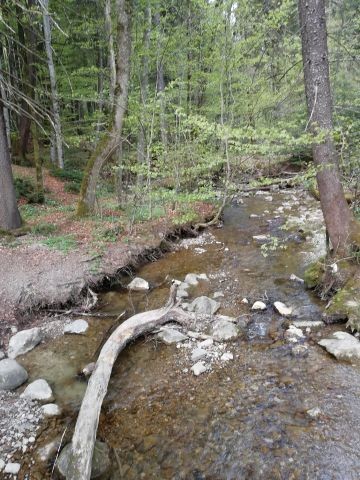 unser Hausbach 150m entfernt
