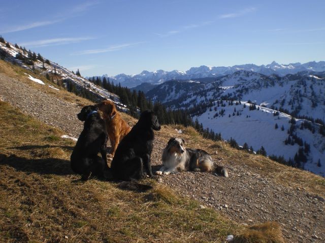 Blick vom Hochgrat