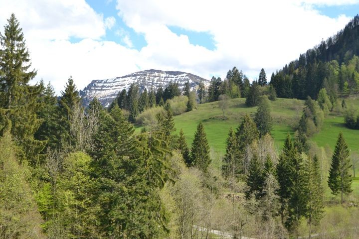 Blick von Balkonen und Terrasse