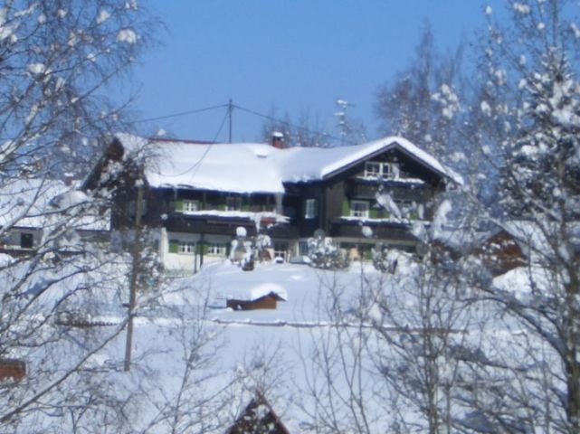 Im Winter