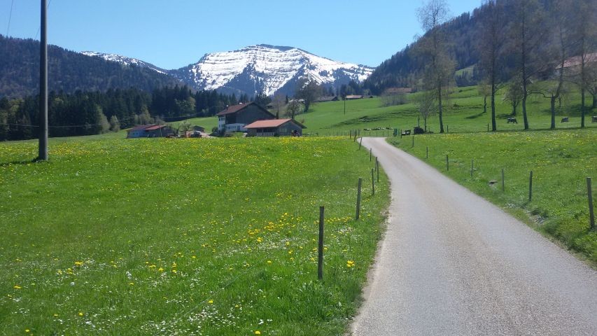 Mein Heimweg vom  Semmel Holen