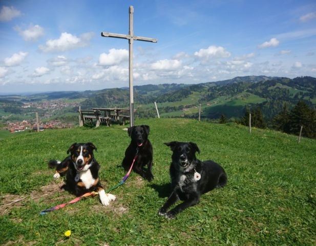 Unsere drei Paula Mara Mika