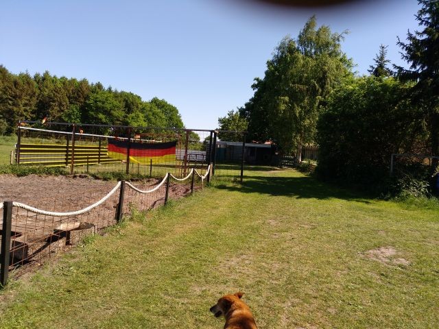 Fußballplatz
