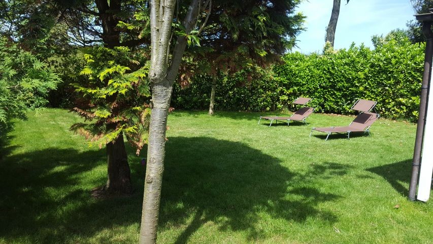 Garten (komplett umzäunt  und zusätzlich Hecken)