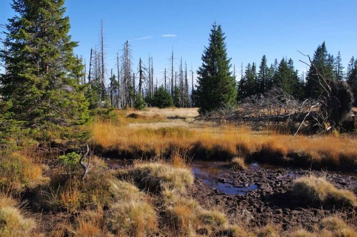 Nationalpark Bayerischer Wald