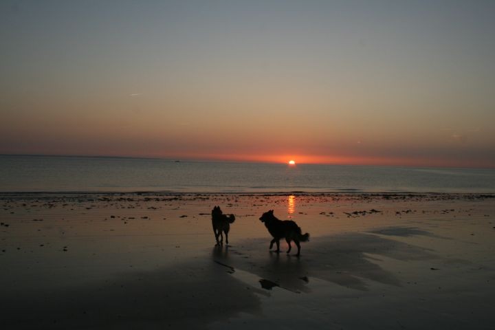 Abendstimmung