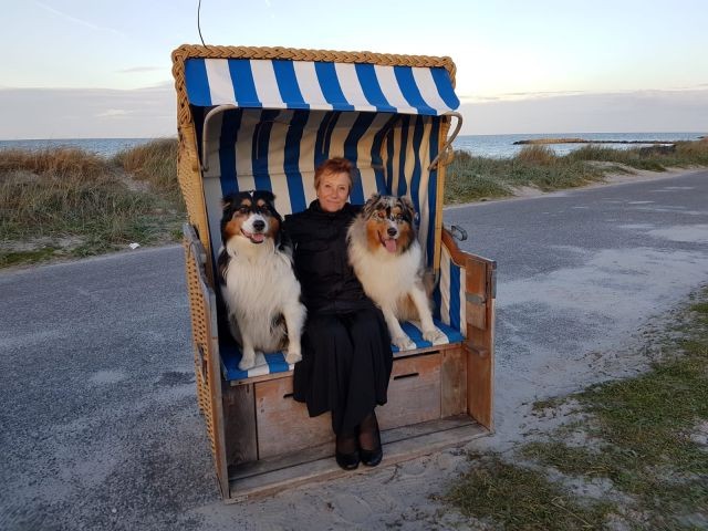Erholungsurlaub An Der Schonen Kieler Bucht Hunde Herzlich Willkommen