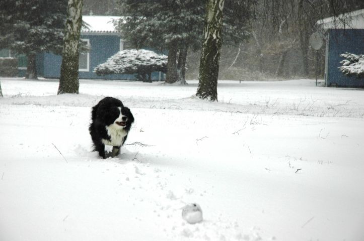 Winter im Feriendorf