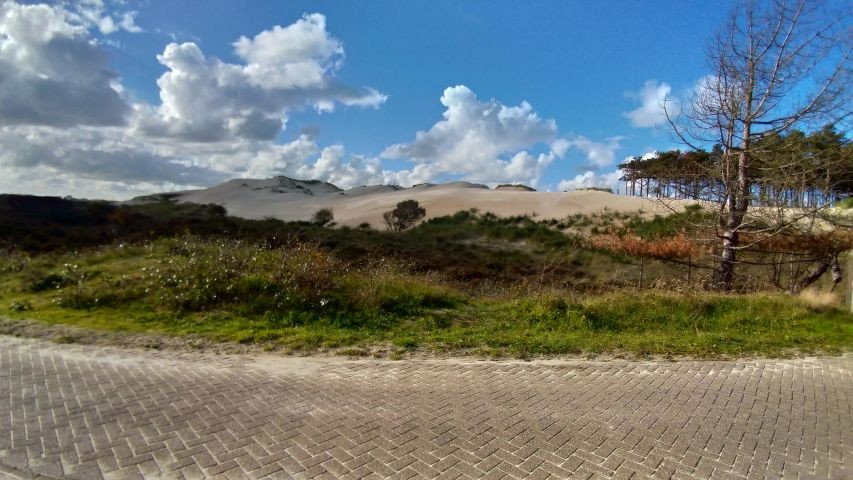 Schoorlse Duinen