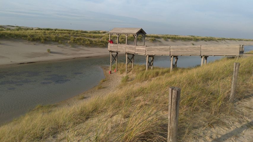 Hondsbossche Zeewering