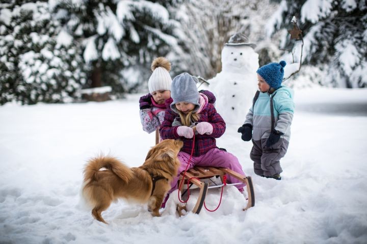 Winterspass mit Hund und Kegel