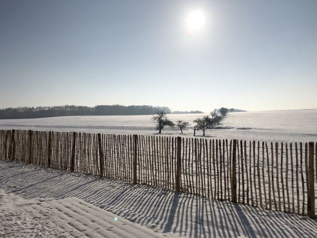 Willkommen Winter am Gartenzaun