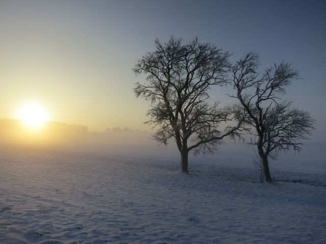 Wunderbare Winterlandschaften ab Hof